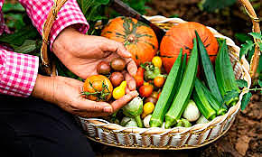 Esquema de Asistencia de Seguridad Alimentaria