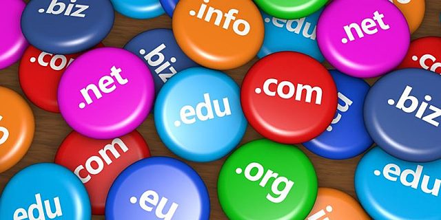 1984 se introducen los dominios, org, net, .com , .edu, .gob, .mil, de los paises