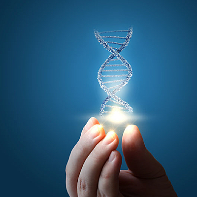 Timeline: El origen de la Bioetica