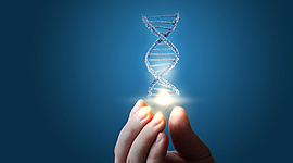 Timeline: El origen de la Bioetica