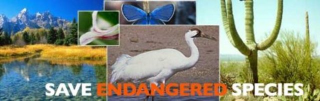 Endangered Species Act