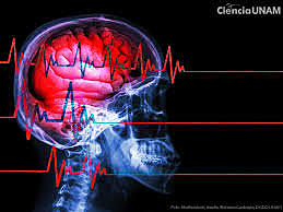 1968-La facultad de medicina de la Huniversidad Harvard publica un criterio basado en la muerte cerebral