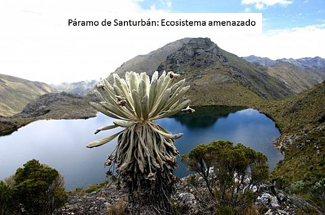 El dilema del Páramo de Santurbán. “Oro o Agua”