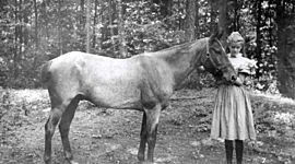 Timeline: Elenor Roosevelt