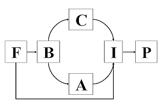 Modelo de Decisión del Consumidor