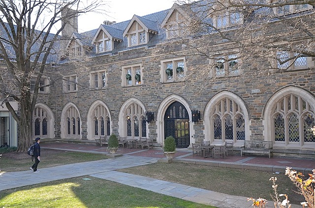 Primary and secondary school years