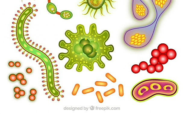 inicio de la microbiologia