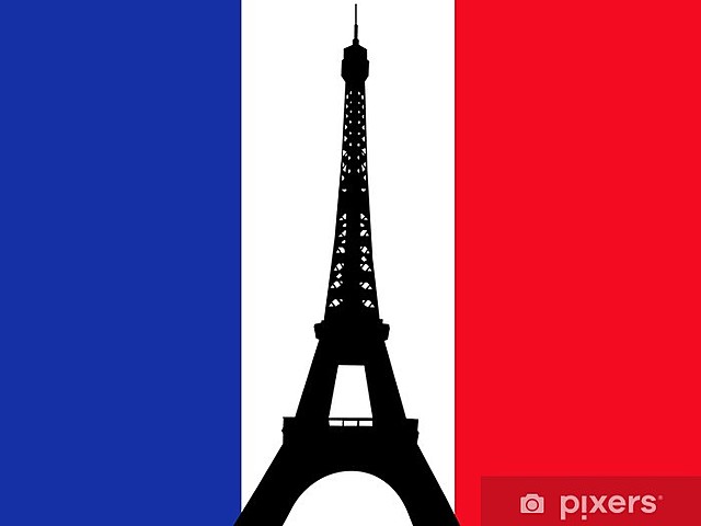 Forma de Gobierno Francesa