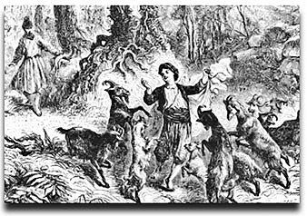 The discovery of coffee