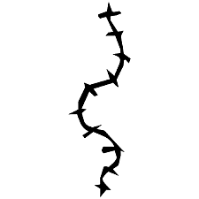 Vaig tenir la meva primera gran cicatriu