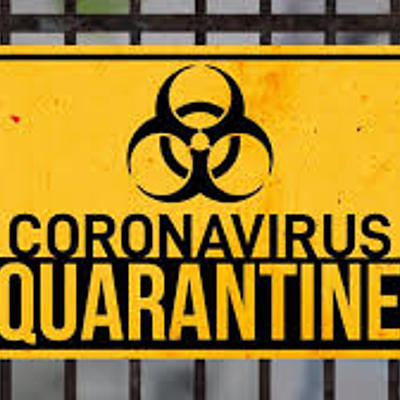 Timeline: Quarantine DIARY