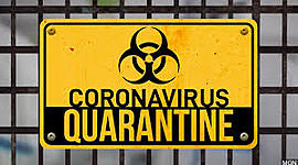 Timeline: Quarantine DIARY