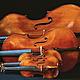 Bass cello violin viola 700 2