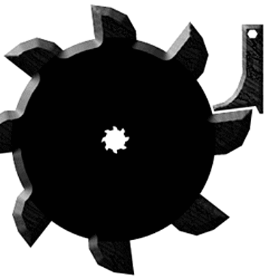 Timeline: El trinquete