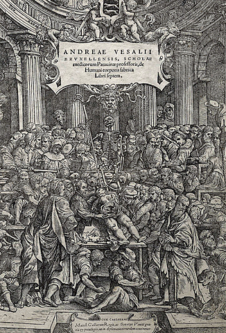 de humani corporis fabrica