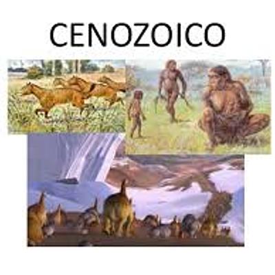 Timeline: Cenozóico