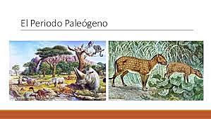 Paleogénico