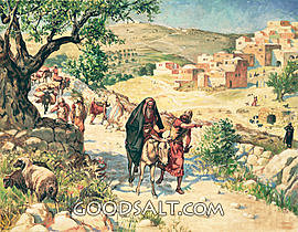 David flees Jerusalem