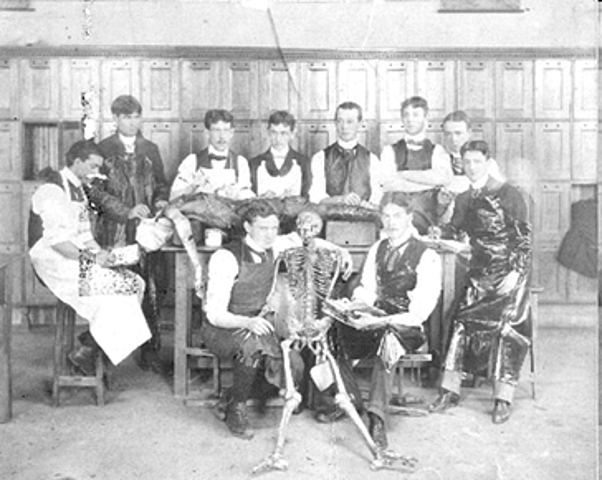 Changes in the common curriculum