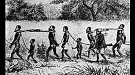 Timeline: SLAVERY