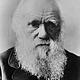 Charles darwin