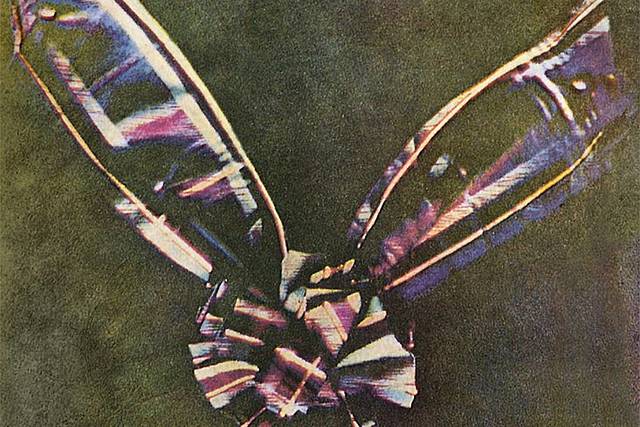 James Maxwllek lehenengo argazkia kolorez egin zuen.