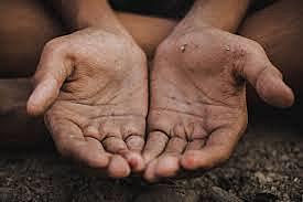 Quinta Encuesta Alimentaria Mundial