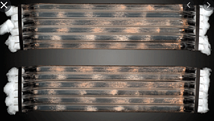 Feldman y Hoyle - El gen de la frecuencia.