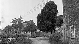 Timeline: Slovenci v 20. in 21.stoletju