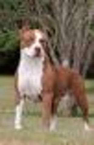 The death of a Soldier