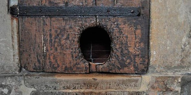 Las puertas para mascotas