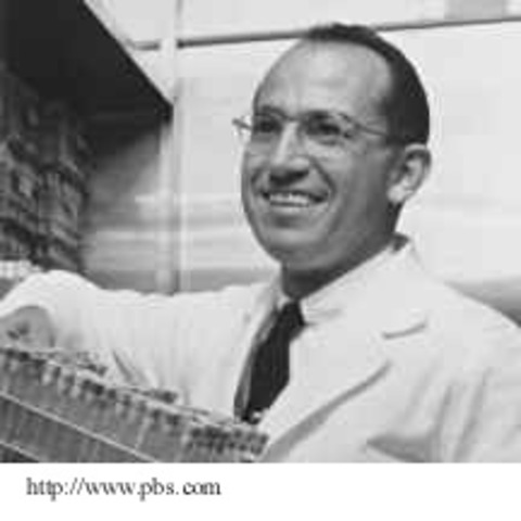 Polio Vaccine Created
