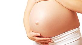 Timeline: Gestación