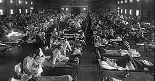 Influenza Epidemic