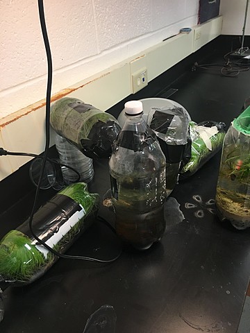 Bottle is Reopened and Experiment Ends