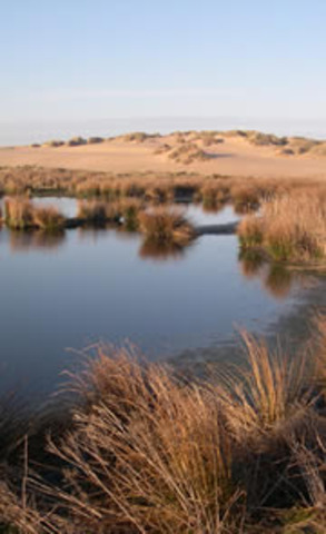 SNH and RSPB write to council expressing concern for SSSI