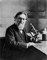 Elle Metchnikoff 1845-1916