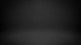 Timeline: historia de funcionarios eficientes