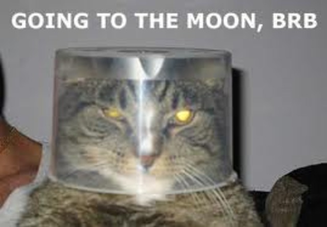 i go to the moon ------------->^