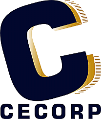 Acciones concretas para evaluar el impacto de la RSE