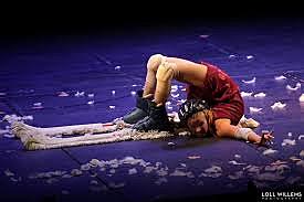 Cirque Plume, Francia