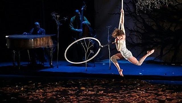 Tiranes Cirku, Albania