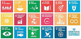 Objetivos del Desarrollo Sostenible.
