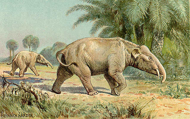El Paleomastodon