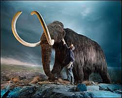 Mamut Lanudo