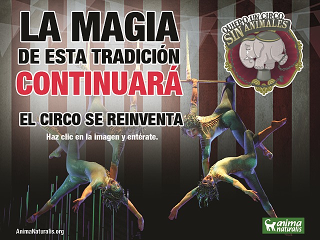 Norma de los animales