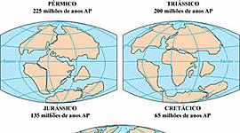Timeline: Deriva do continente (PANGEIA)