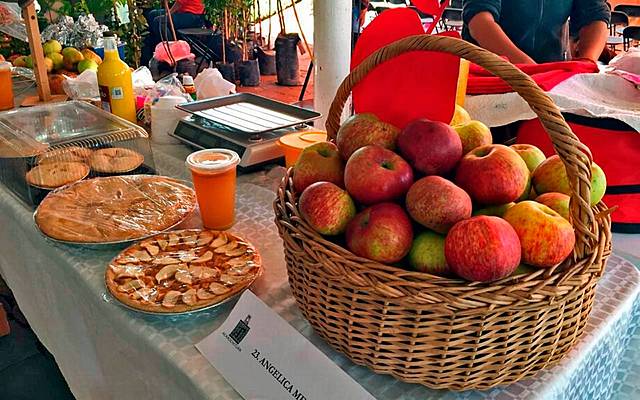 Feria de la manzana de Zacatlán