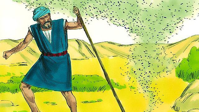 Tercera Plaga de Egipto. Alianza