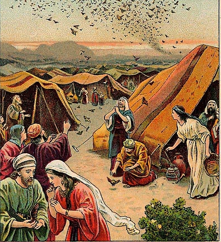 Quarta Plaga de Egipto. Alianza